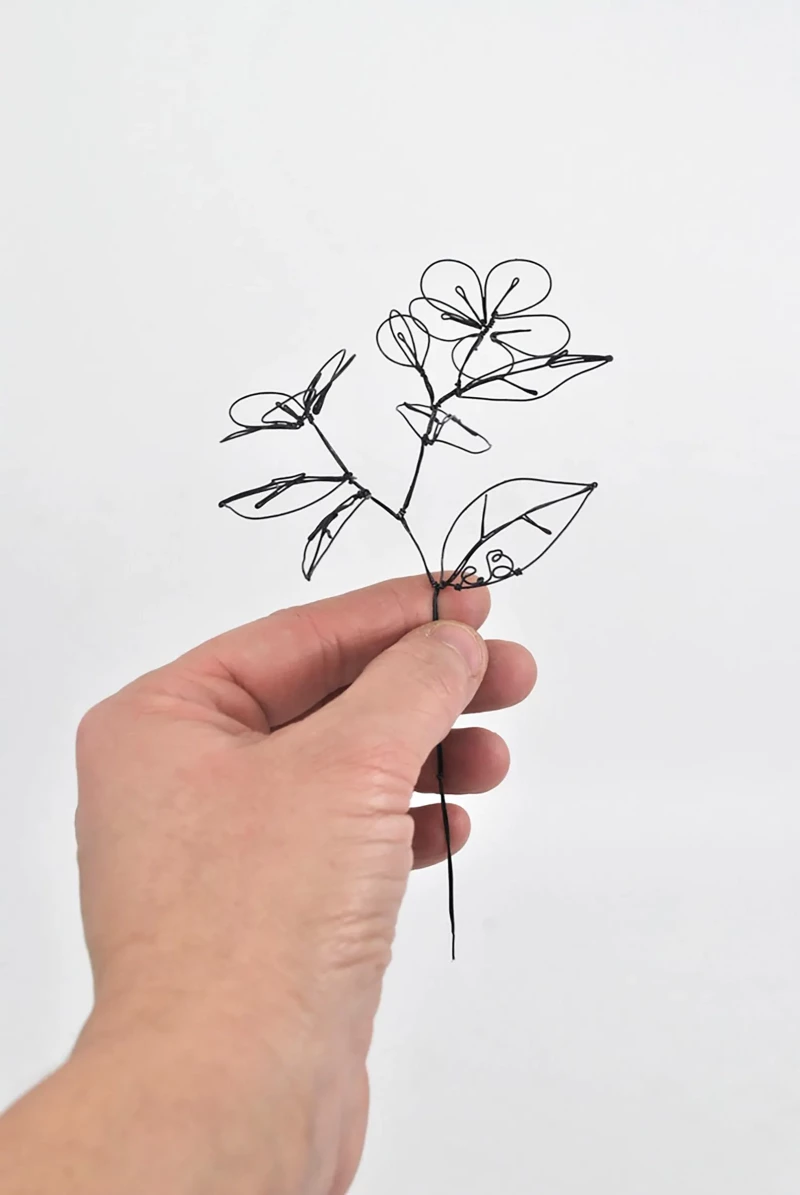 Cherry blossom branch